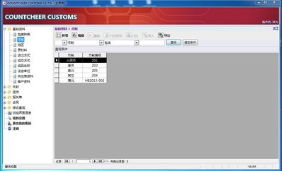 盟威软件快速开发平台在报关管理软件开发中的实践心得